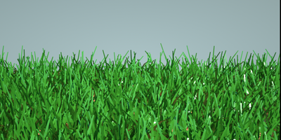 grassy.png