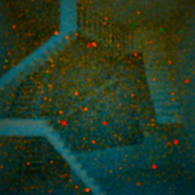 filmdefect.png