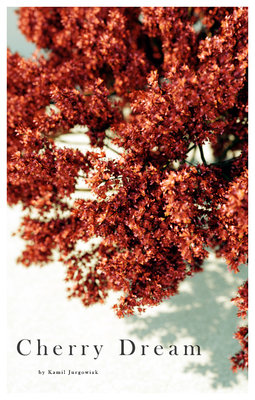 01 Kamil Jurgowiak - Cherry 2011 Edited.jpg