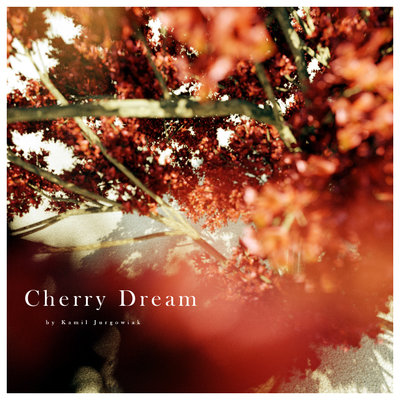 01 Kamil Jurgowiak - Cherry Close 2011 Edited.jpg
