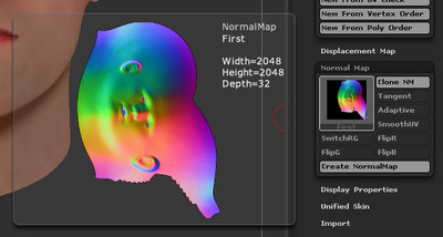 normZbrush.jpg