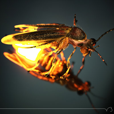 firefly fly 08 ret.jpg