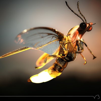 firefly fly 09 ret.jpg