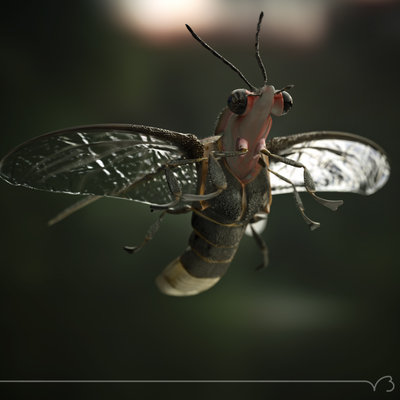 firefly fly 12 rt.jpg