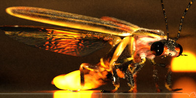 PMC, no color correction, I let it cook for some time, yet I couldn't achieve the desire result. Halfsized