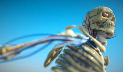 skelly.png