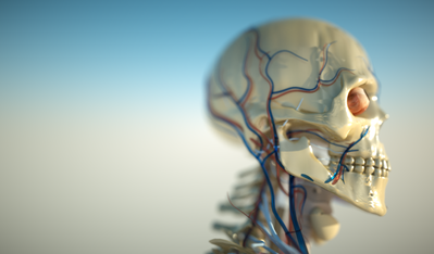 skelly4.png