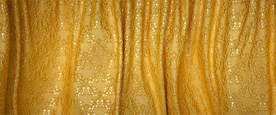 curtain.jpg