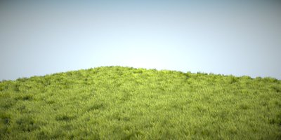GrassTest2.jpg