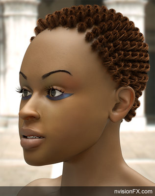 Head_nvisionFX.jpg