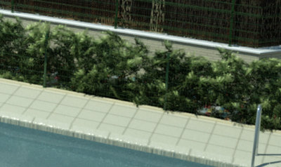 Hedge teaser.jpg