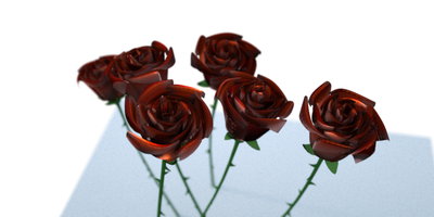 apoca_rose_test02.jpg
