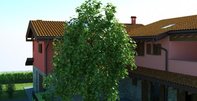 Whit_Scattering.JPG