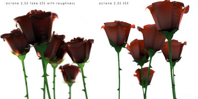 apoca_rose_test_compare01.jpg