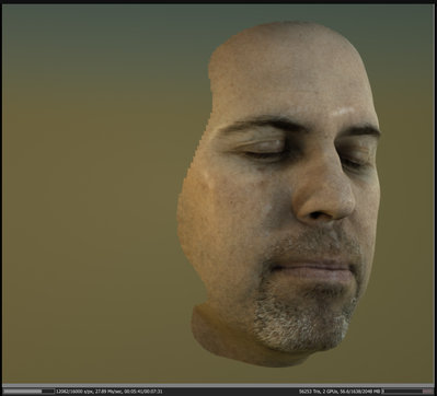 Paul Debevec scanned Head.jpg