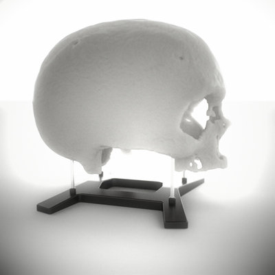 skull_test01_sss_ae.jpg