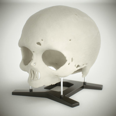 skull_test02_sss_ae.jpg