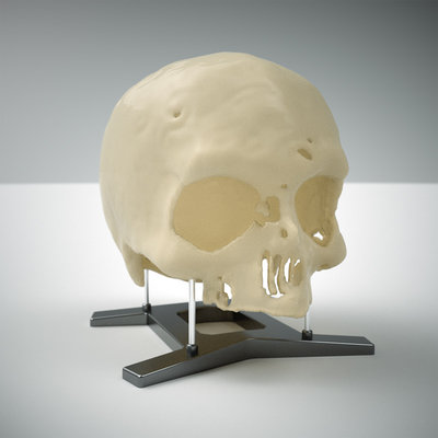 skull_test03_sss_ae.jpg