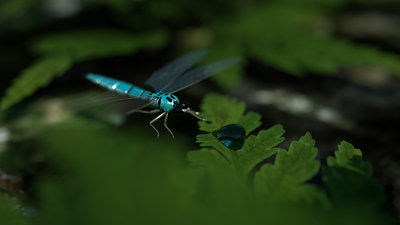 Render02.jpg