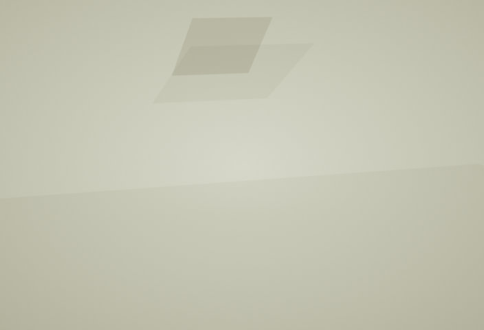 l1.jpg