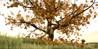 tree_blender_test_06.jpg