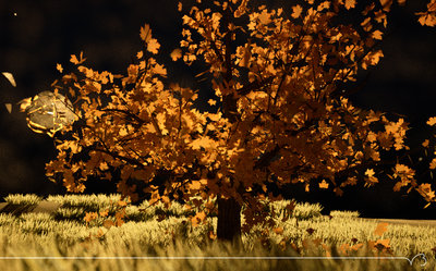 tree_blender_test_09.jpg