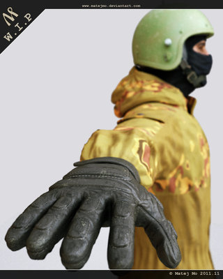 rokavice-wip.jpg