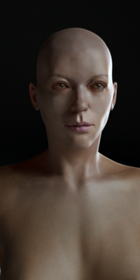 test4.png