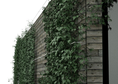 texture environment