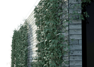 begrünte fassade daylight 3.jpg