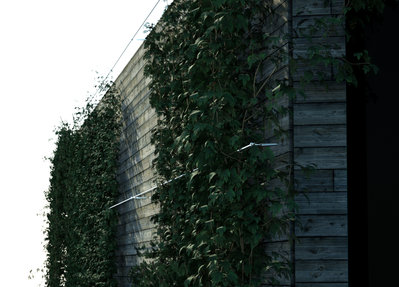 begrünte fassade daylight.jpg