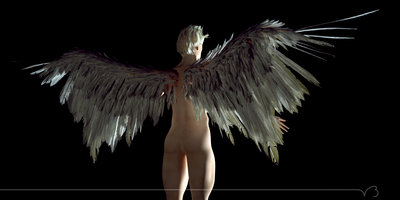 angel_test_06.jpg