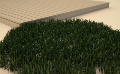 grass_test.jpg