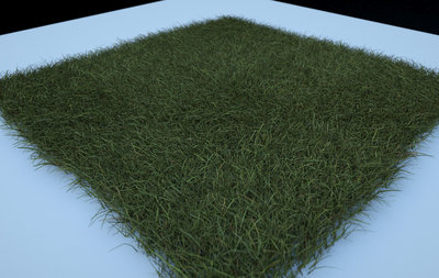 grass_refractive.jpg