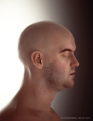 Lee Perry Smith's face scan custom edited and exported from Zbrush to DS and from DS to Octane , the original model was around 9 millions poly reduced to 115 K , 10.000 s/px rendered in around 7 min, just testing stuff out