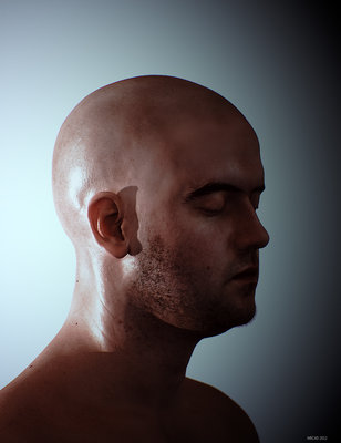 LeeP_scanOctan2.jpg