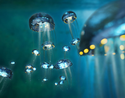 Jellies_JPG.jpg