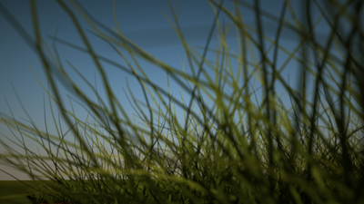grass.png
