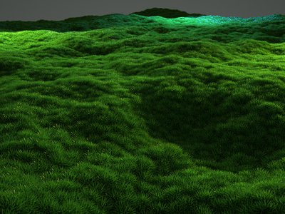 grass.jpg