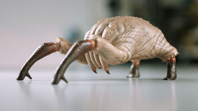crab_03.JPG