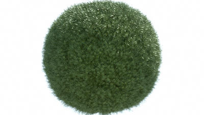 hedge.png