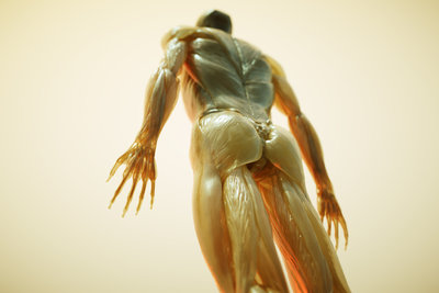 body.jpg