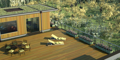 grass36b.jpg