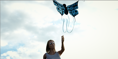 butterfly.png