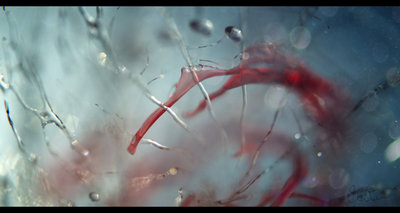 uploaded_glass_v02_01_cd.JPG