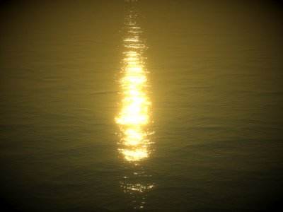 WaterSunBloom.jpg