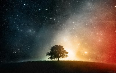 01968_cosmosition_1920x1200.jpg