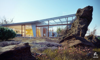 inhouse project.jpg