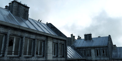 pizon_entry 02