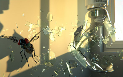 fly2_1280.jpg